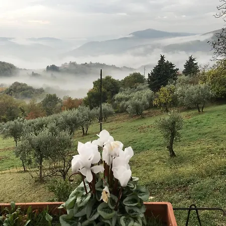 La Casina Di Stella