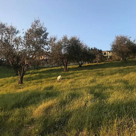 La Casina Di Stella *