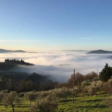 La Casina Di Stella Casa vacanze